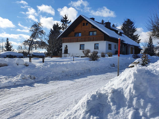 Dom/Rezydencja|Winterhalder|Schwarzwald (Czarny Las)|Eisenbach