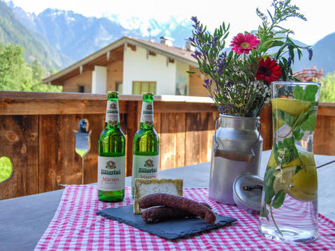 House/Residence|Geislerhütte|Zillertal|Mayrhofen