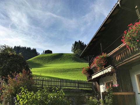 House/Residence|Sonnheim|Tyrol|Wildschönau