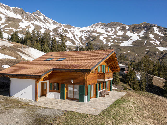 House/Residence|Martens|Portes du Soleil|Les Crosets