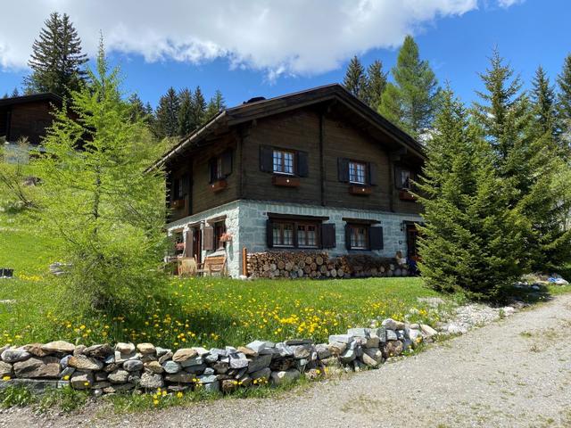 Dom/Rezydencja|Chalet Rodas 9|Viamala/Surses/Albulatal|Savognin