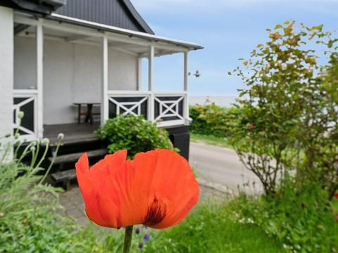 House/Residence|"Scarlet" - 5m from the sea|Bornholm|Hasle