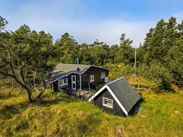 House/Residence|"Gaelle" - 800m from the sea|Western Jutland|Vejers Strand