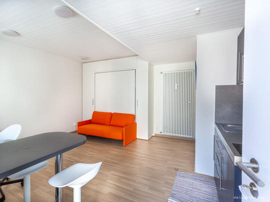 Appartement Studio Lepontica, Zwitserland, Ticino, Leontica, Woonkamer