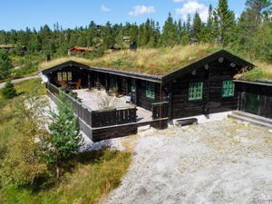 Haus/Residenz|Josteinbu|West Telemark|Treungen