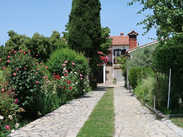 Maison / Résidence de vacances|Villa Palma (LBN405)|Istrie|Labin