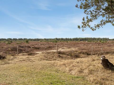 Kuća / objekt|"Alfwin" - 3km from the sea|Zapadna obala Jutlanda|Rømø