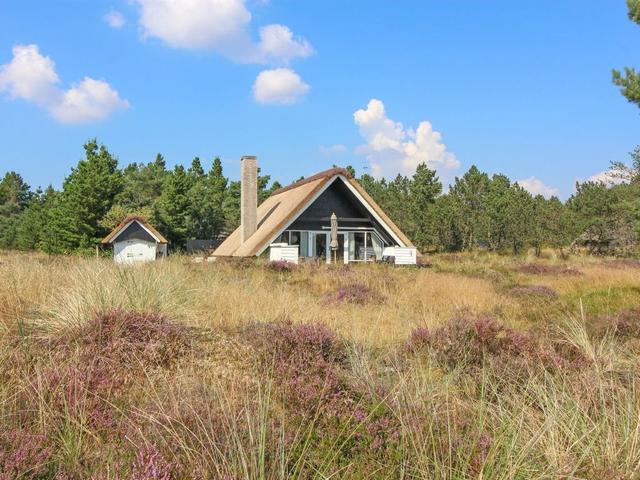 Huis/residentie|"Gerdis" - 1.6km from the sea|De westkust van Jutland|Blåvand