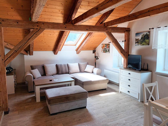 Appartamento Apartment 8, Repubblica Ceca, Monti Iser, Kořenov, Soggiorno