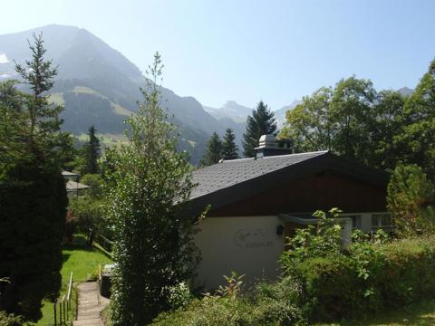 Innenbereich|Schwalbe|Berner Oberland|Adelboden