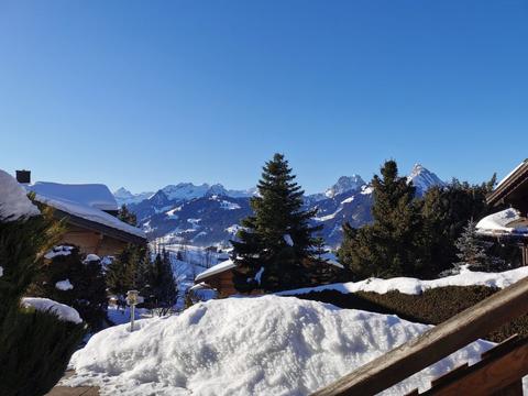 Binnen|Les Hivernants (EG links)|Berner Oberland|Schönried