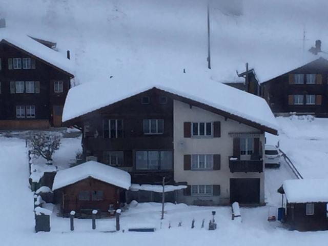 Binnen|Wildbach|Berner Oberland|Adelboden