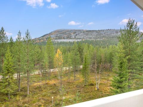 Hus/ Residens|Tillikka|Lapland|Pelkosenniemi