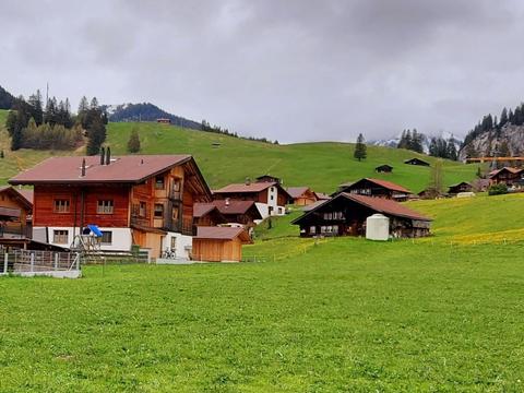 Wnętrze|Lärchehuus|Oberland Berneński|Adelboden