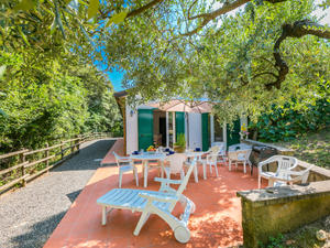 Haus/Residenz|Podere gli Olivi|Riviera degli Etruschi|Castiglioncello