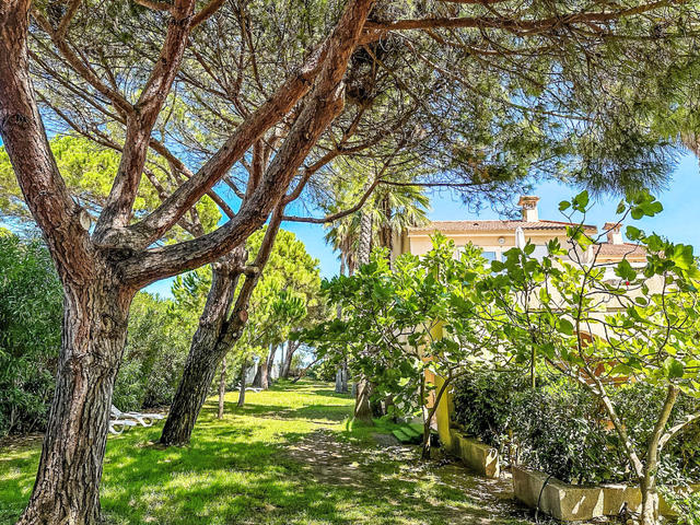 House/Residence|Les Chênes|Corsica|La Marana