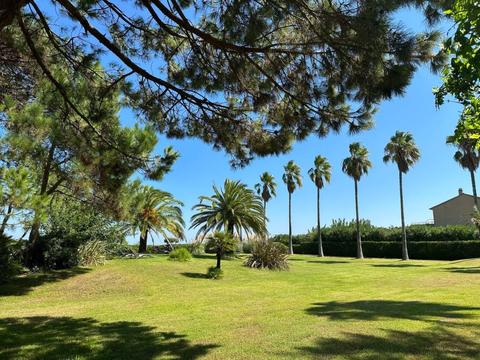 Maison / Résidence de vacances|Les Chênes|Corse|La Marana