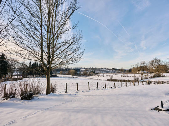Casa Au bord du Lac 2, Belgio, Ardenne, Butgenbach/Nidrum, La struttura