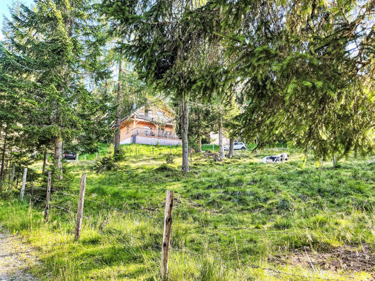 Kuća Almhaus Galisch, Austrija, Koruška, Sirnitz - Hochrindl, House