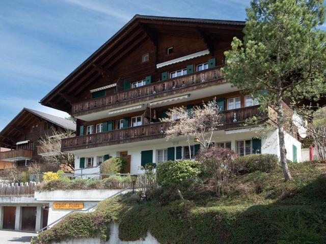 Dom/Rezydencja|Chalet Anita|Oberland Berneński|Zweisimmen