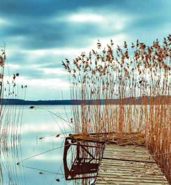 Ferienhäuser an der Mecklenburgischen Seenplatte