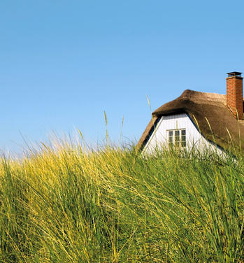 Ferienhäuser an der Ostsee