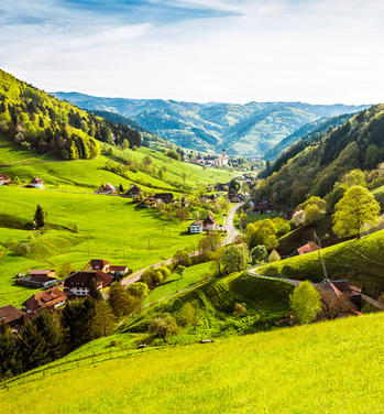 Ferienhaus im Schwarzwald