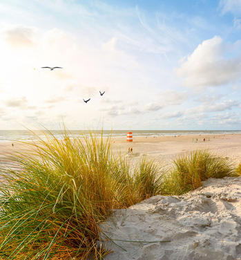 Last Minute Holiday Homes by Destination - Denmark