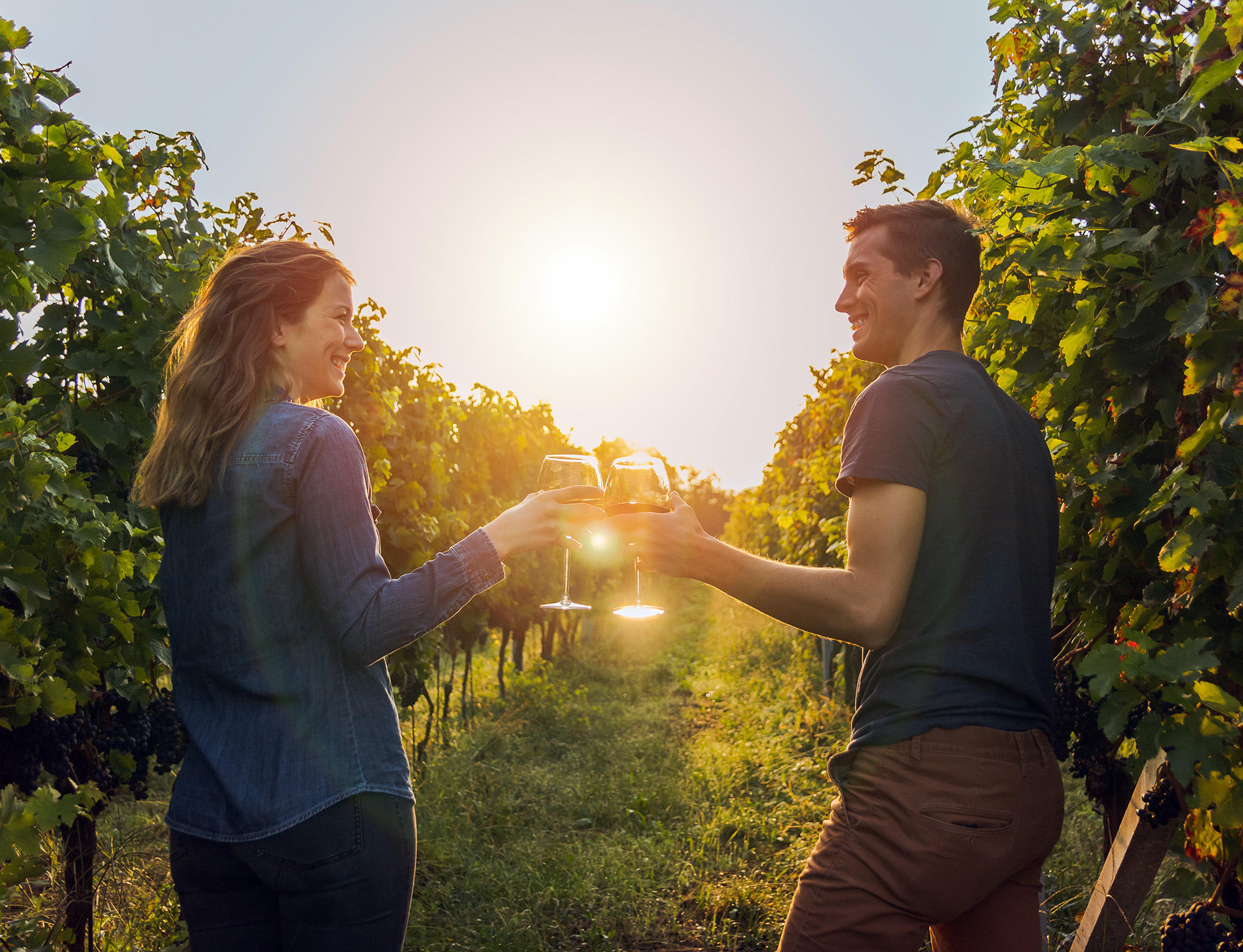 Le Valais: entre forêts et vignobles colorés