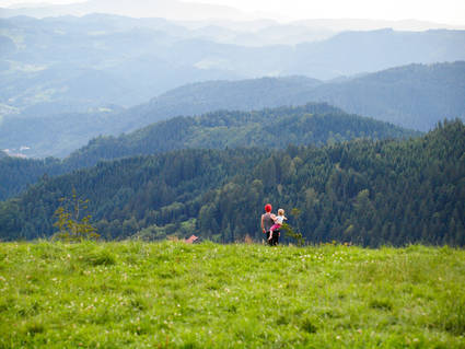 Sasbachwalden Ferienwohnungen
