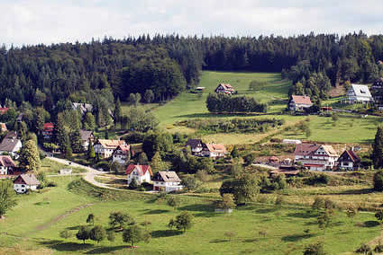 sasbachwalden-ferienhaus.jpg
