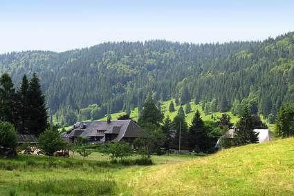 schwarzwald ferienhaus - Sonnige Schwarzwald-Wanderung Ebringen-Schönberg-Schneeburg