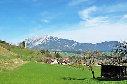 stein-an-der-enns-ferienhaus.jpg