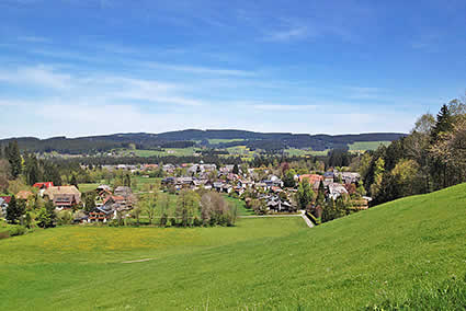 hinterzarten-ferienhaus.jpg