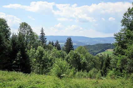 viechtach-ferienhaus.jpg