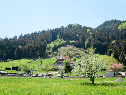 Hornberg Ferienwohnungen