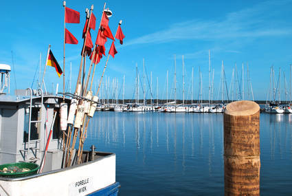 Tribbevitz Ferienwohnungen