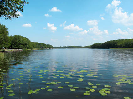 Buchholz Ferienwohnungen
