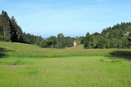 freiamt-ferienhaus.jpg