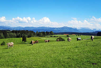 oberbayern-allgäu-ferienhaus.jpg