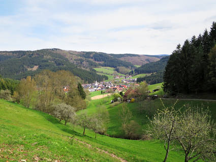 Hofstetten Ferienwohnungen