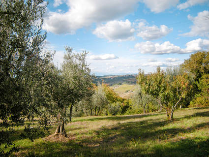 Montefiridolfi Ferienwohnungen