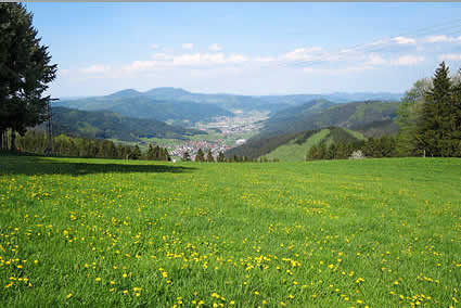hofstetten-ferienhaus.jpg