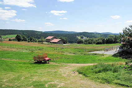 mauth-ferienhaus.jpg