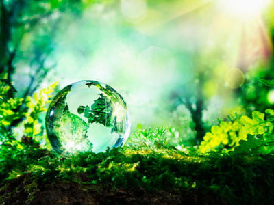 Love nature - miljöskydd angår alla Love nature - miljöskydd angår alla