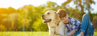 Urlaub im Ferienhaus mit Hund