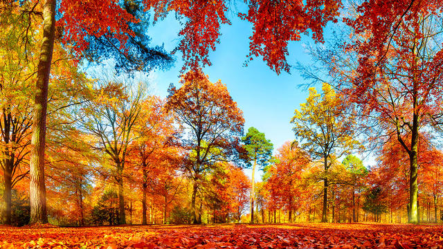 Enjoy the colours of autumn in relaxing surroundings