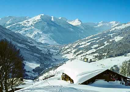 Ferienhaus Pinzgau