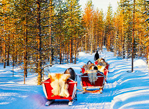 Ferienwohnung Lappland Ski