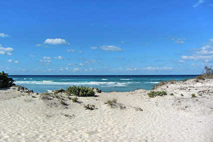 Ferienwohnung Salento Ferienhaus mieten